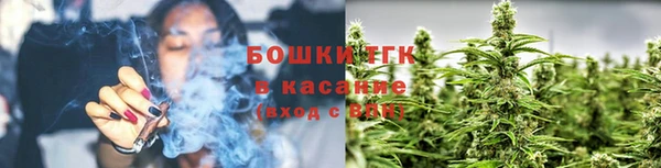 дмт Новозыбков