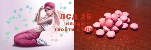 дмт Новозыбков