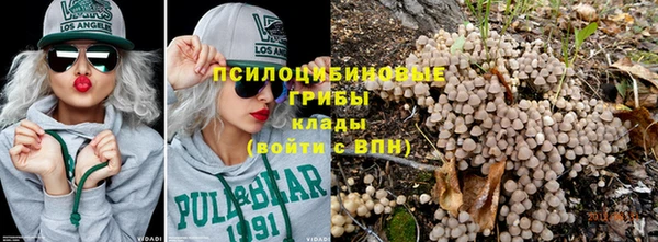 стафф Ростов