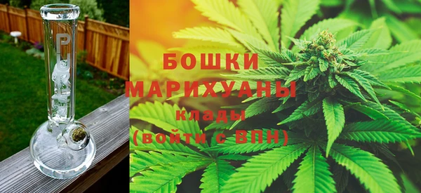 дмт Новозыбков