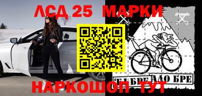 сатива Камышлов