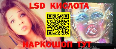 сатива Камышлов