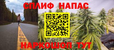 сатива Камышлов