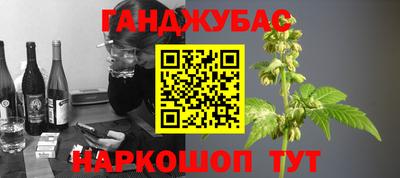 сатива Камышлов