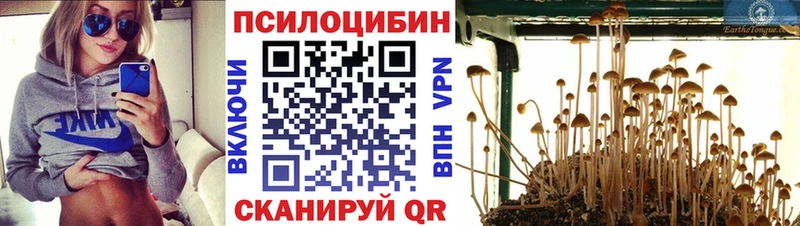 Псилоцибиновые грибы GOLDEN TEACHER  Михайловск 