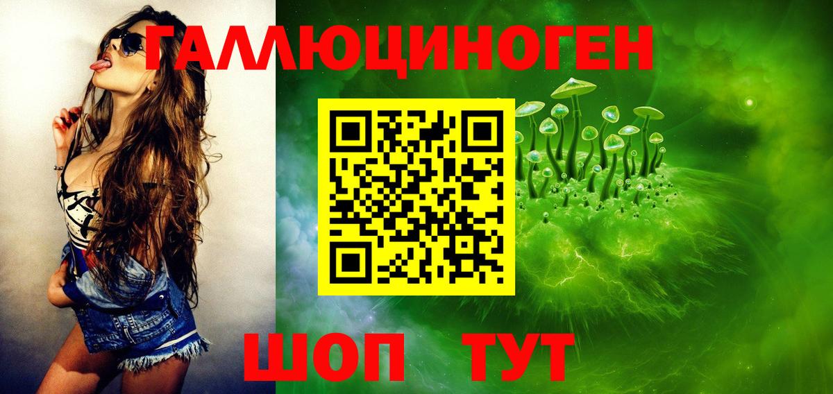 Псилоцибиновые грибы Cubensis Михайловск
