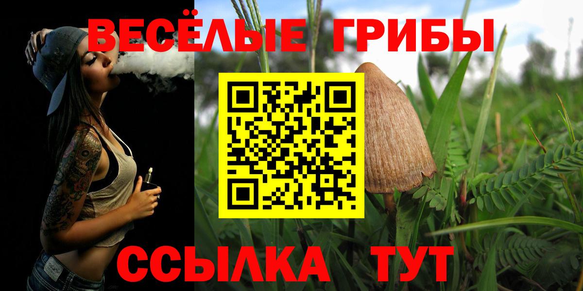 Галлюциногенные грибы Cubensis  Вход с VPN  Михайловск  Галлюциногенные грибы MAGIC MUSHROOMS 