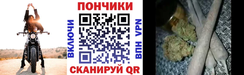 Бошки Шишки марихуана  закладка  Михайловск 